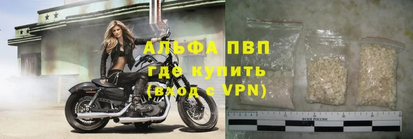 СК Волосово