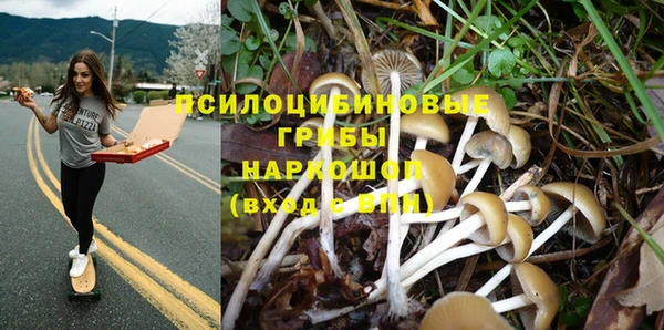 СК Волосово