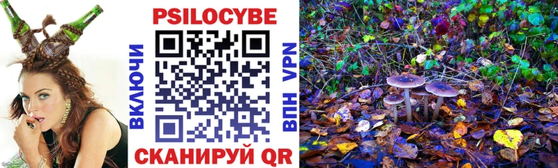 Галлюциногенные грибы Cubensis  Заозёрск 